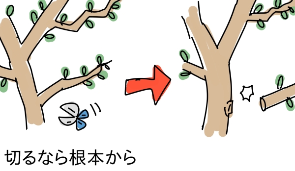 フェイジョアの剪定で失敗:補足情報