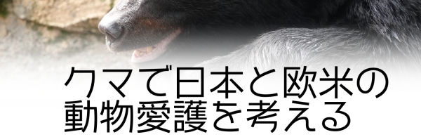 熊で考える日本と欧米の動物愛護:熊で考える日本と欧米の動物愛護の違い