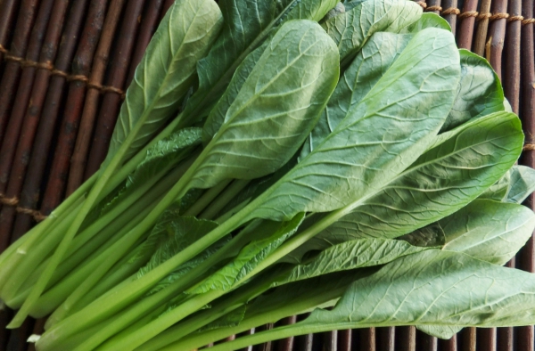 家庭菜園で栽培できるコスパの良い野菜:小松菜