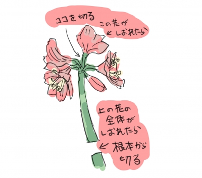 花を摘む（4月〜6月）