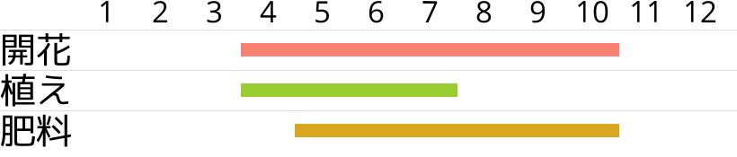 紅色小町の開花時期…植え付け・植え替え時期…肥料時期…月別スケジュールです。