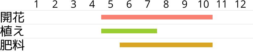 サンちゅらか・キャンディブーケの開花時期…植え付け・植え替え時期…肥料時期…月別スケジュールです。