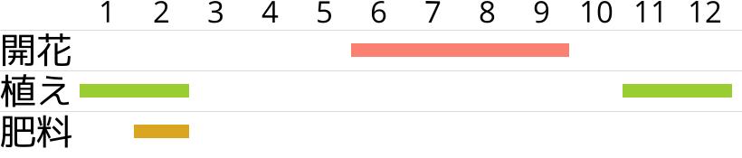 ギョリュウ・ピンクカスケードの開花時期…植え付け・植え替え時期…肥料時期…月別スケジュールです。