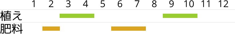 コルムナリス・グラウカの植え付け・植え替え時期…肥料時期…月別スケジュールです。