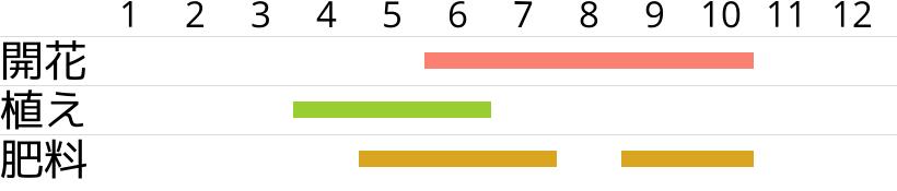 コリウス・プリミティブクールの開花時期…植え付け・植え替え時期…肥料時期…月別スケジュールです。