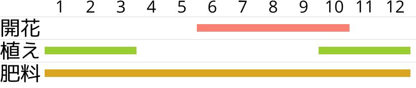バラ・ウィンチェスターキャシードラルの開花時期…植え付け・植え替え時期…肥料時期…月別スケジュールです。