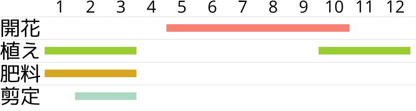 バラ・ジュードジオブスキュアの開花時期…植え付け・植え替え時期…肥料時期…剪定時期…月別スケジュールです。