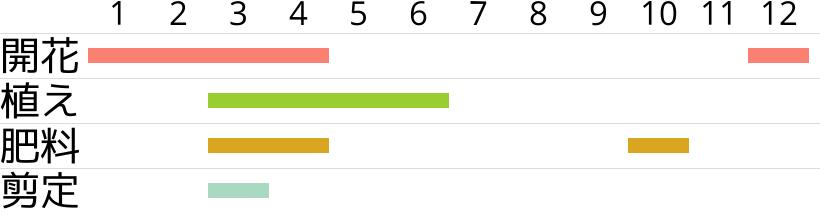オオシロゴウカンの開花時期…植え付け・植え替え時期…肥料時期…剪定時期…月別スケジュールです。