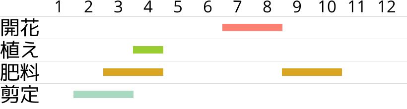 サネカズラの開花時期…植え付け・植え替え時期…肥料時期…剪定時期…月別スケジュールです。