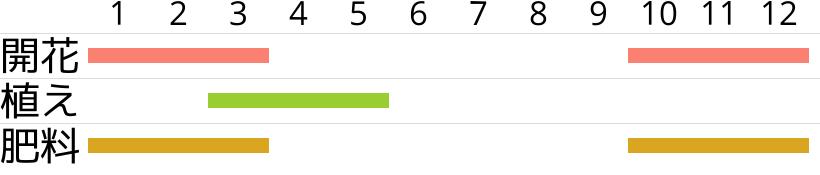 ドラゴンシクラメンの開花時期…植え付け・植え替え時期…肥料時期…月別スケジュールです。