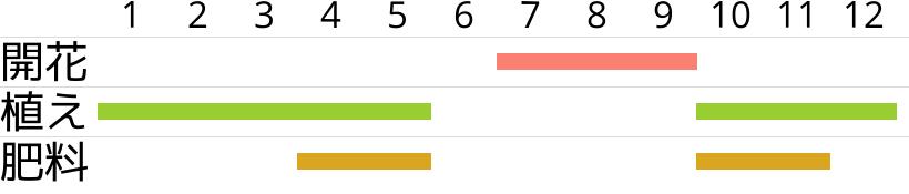 ヘーベ・アイスイザベラの開花時期…植え付け・植え替え時期…肥料時期…月別スケジュールです。