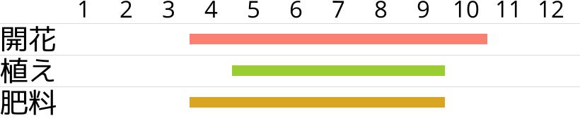 ブライダルベールの開花時期…植え付け・植え替え時期…肥料時期…月別スケジュールです。